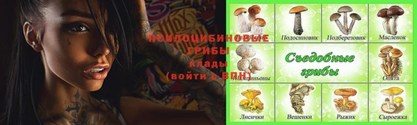 таблы Алзамай