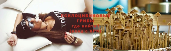 эйфоретик Алексин