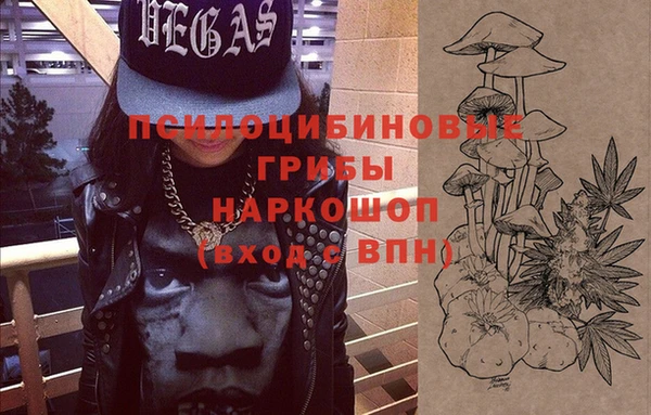 эйфоретик Алексин