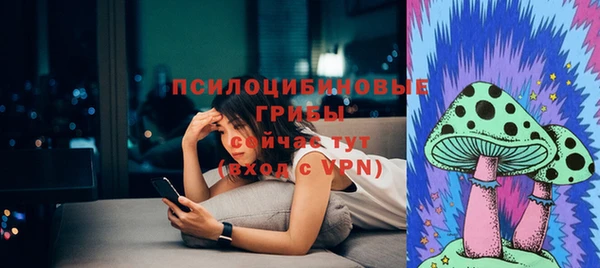 МДПВ Алексеевка