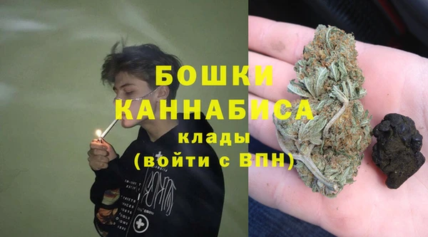 МДПВ Алексеевка