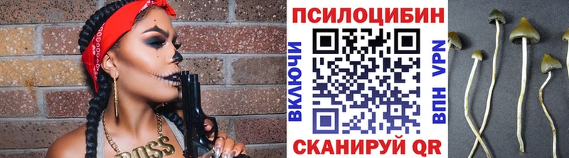 KRAKEN рабочий сайт  darknet официальный сайт  Галлюциногенные грибы прущие грибы  Юрьевец 